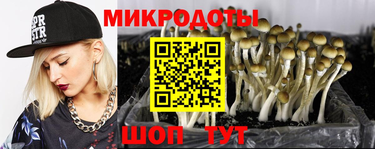 купить наркоту  Псилоцибиновые грибы MAGIC MUSHROOMS  Вход с VPN  Лысьва 